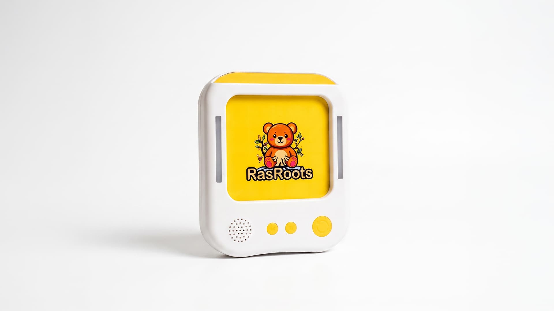 RasRoots Punjabi learning machine and flash cards